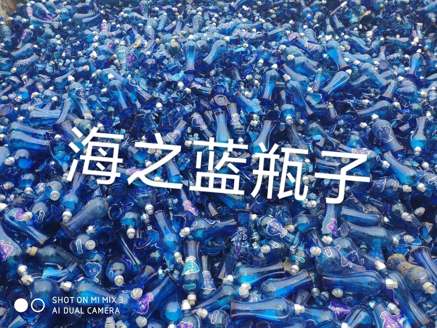丰县海之蓝瓶回收